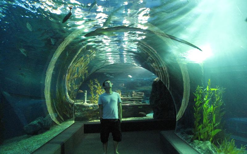 Aquaria Phuket
