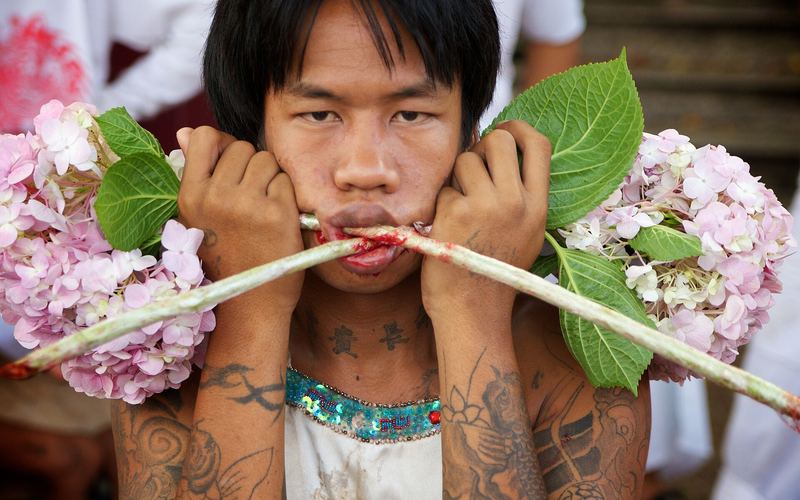 Vegetarisch Festival